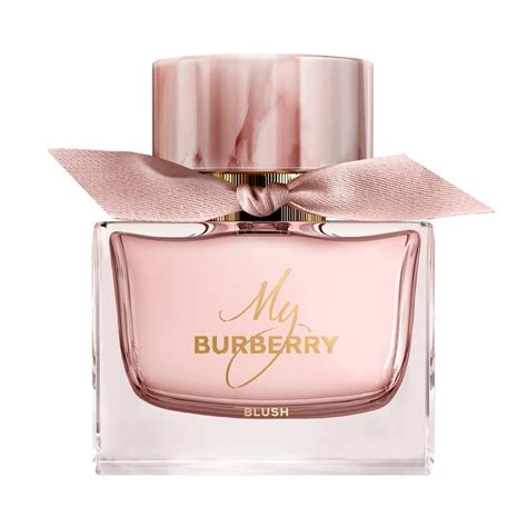 my burberry blush composition|chemist warehouse my Burberry blush.